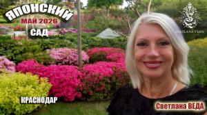Японский сад Парк ГАЛИЦКОГО Краснодар #онлайн #путешествие #экскурсия #развлечение
