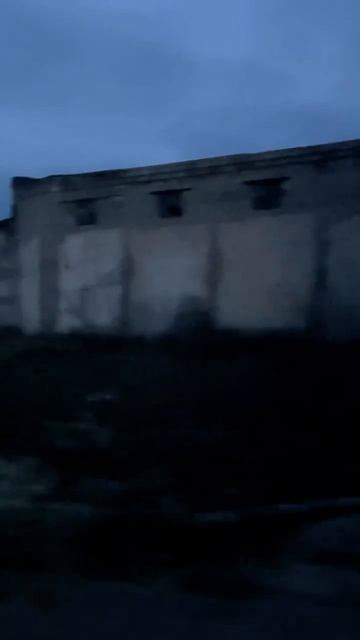 Кровь - не вода!