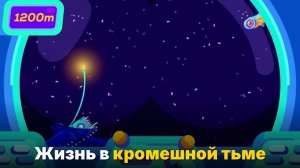 Что скрывает дно океана- Погружение в самое тёмное место Земли