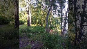Рай