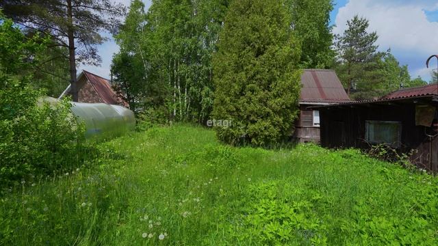 Грузино 191 смотреть онлайн