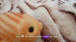 Вопрос - ответ! 😊