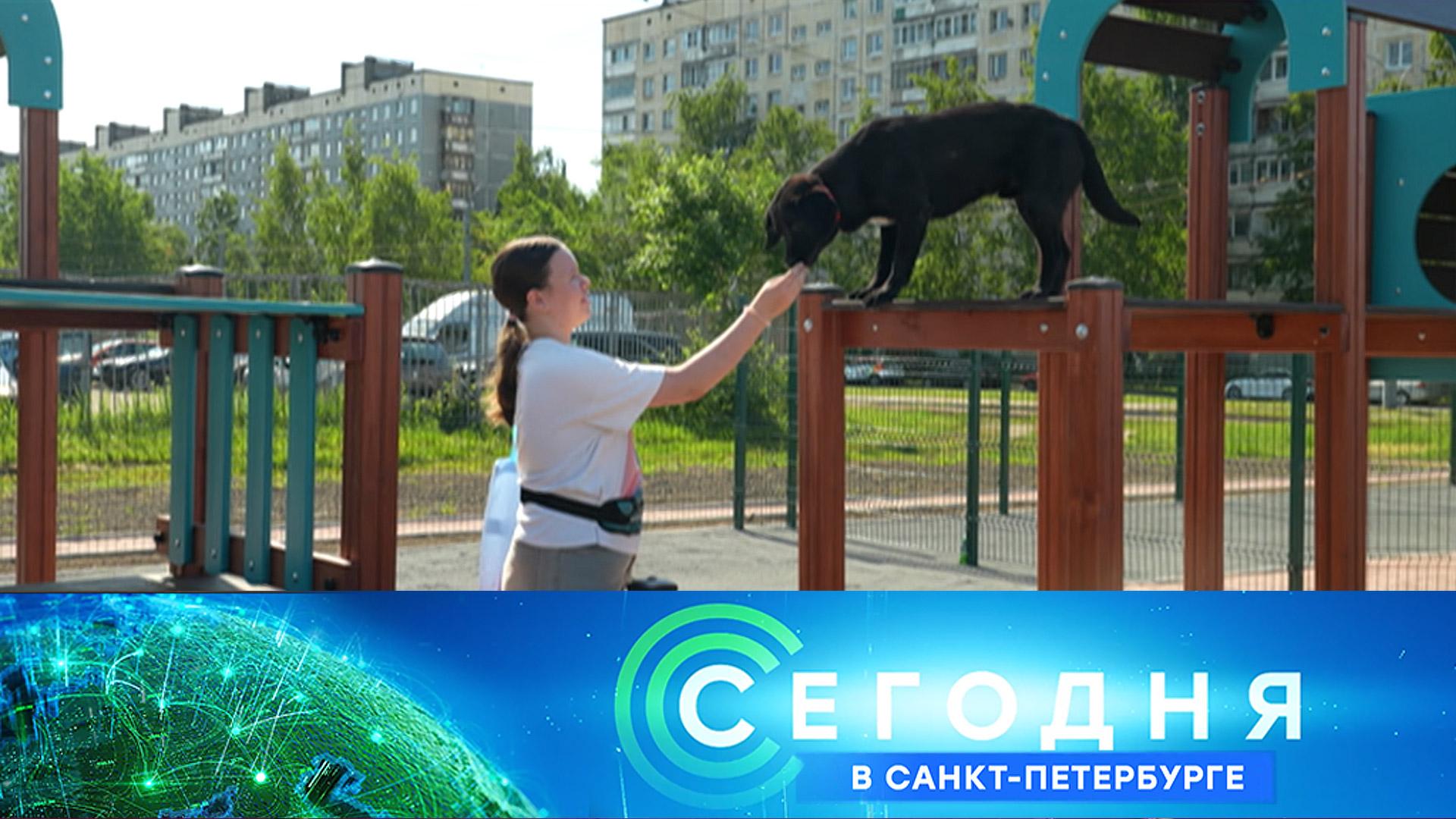 «Сегодня в Санкт-Петербурге»: 8 июня 2026 года смотреть онлайн