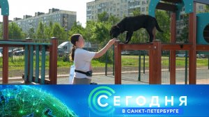 «Сегодня в Санкт-Петербурге»: 8 июня 2026 года