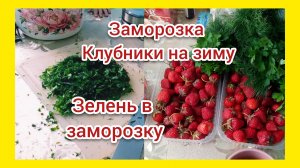 ОДИН ДЕНЬ ГОД КОРМИТ/КУПИЛА СВЕЖУЮ ЗЕЛЕНЬ/ЕЩЁ НЕМНОГО КЛУБНИКИ В МОРОЗИЛКУ