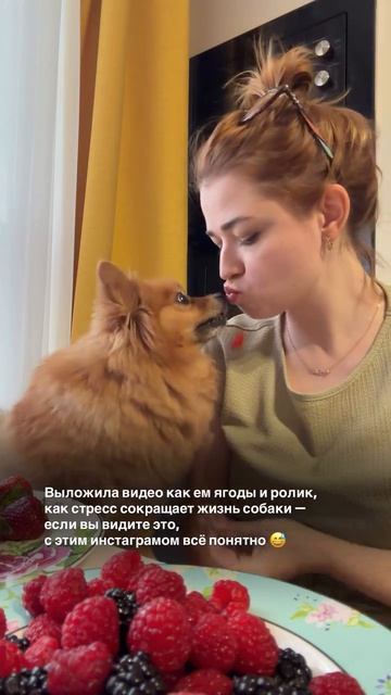 Спорим, что второй ролик вы даже не видели?)))