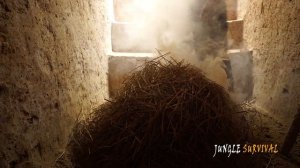 Самый секретный туннель древнего храма, подвальный бассейн, бассейн от Jungle Survival