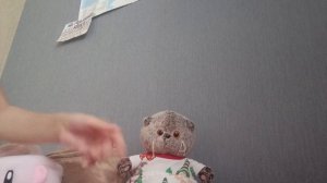 что взять в путешествие для басика 😊🌷(собираю вещи 🧳)