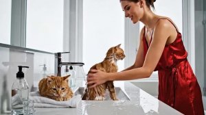 Крошечные котята сталкиваются с дикой рекой 🐾💧 #Трогательное путешествие с животными