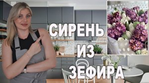 Сирень из ЗЕФИРА