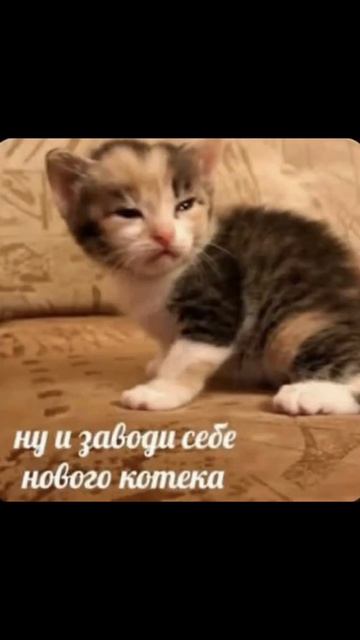 A1baf8dc886645ca92d83ad91e1d2490