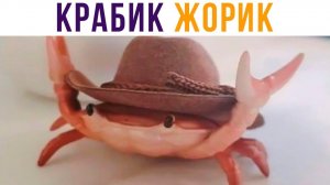 ЗНАКОМЬТЕСЬ, ЖОРИК))) Приколы
