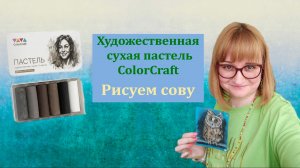 Художественная сухая пастель ColorCraft 6 цветов. Рисуем сову