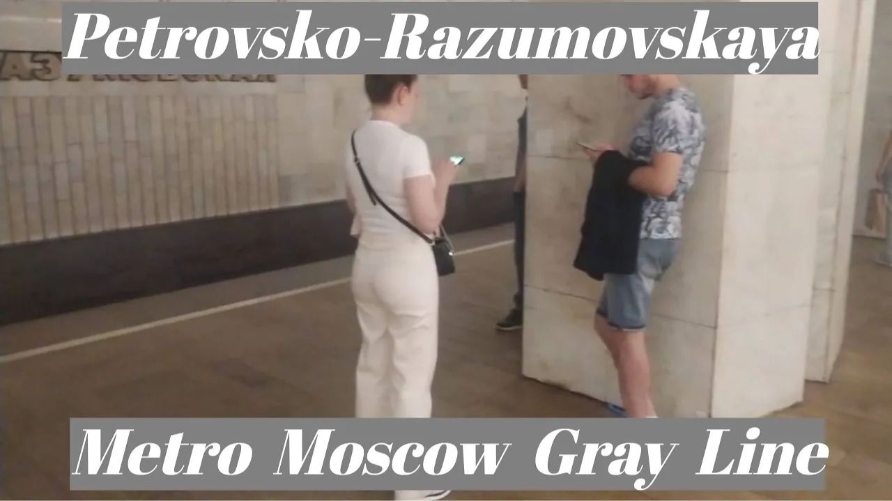 Станция метро Петровско-Разумовская интерьер, поезда, пассажиры Москва, Фрагмент 19