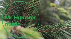 Mr Humster muzic / in the leaves