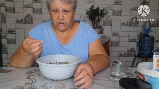 ЗАМЕСИЛА ТЕСТО НА ПИРОЖКИ БЕЗ ДРОЖЖЕВОЕ. смотреть онлайн