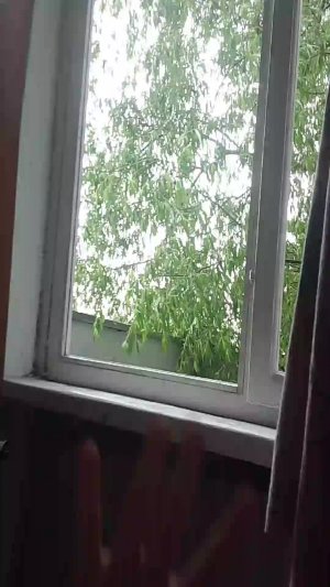 Гроза