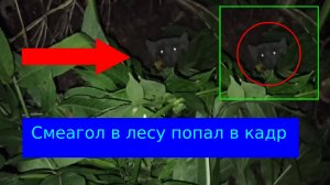Турист встретил Голлум или Смеагол в Лесу | Страшные звери