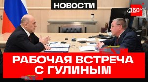 Мишустин. Рабочая встреча с главой Ространснадзора Виктором Гулиным