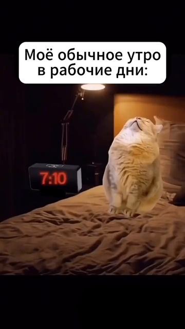 Жизненно ! смотреть онлайн
