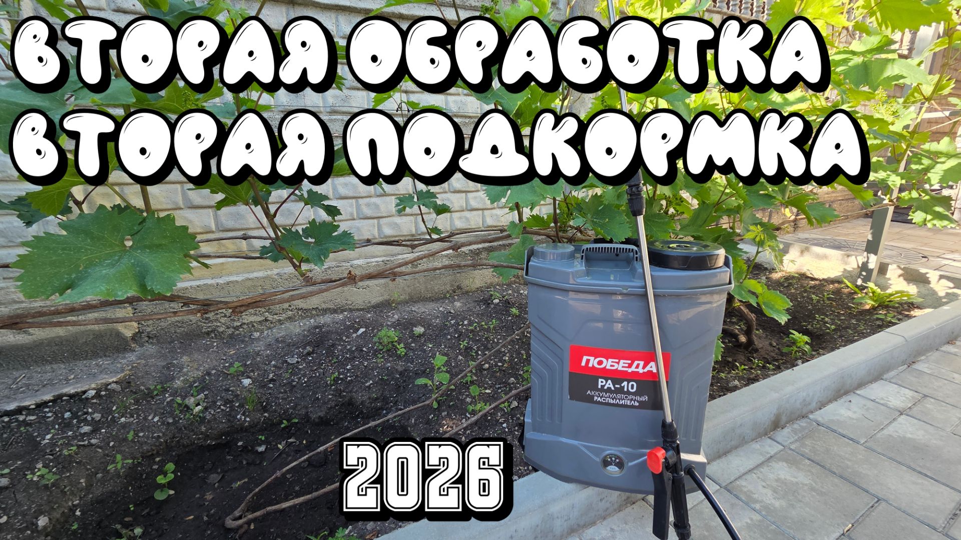 ВТОРАЯ ОБРАБОТКА винограда. ПОДКОРМКА.