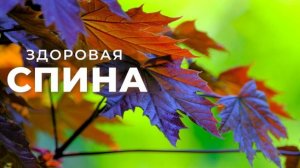 Здоровая спина. Исцеление спины (мышцы, кровообращение, нервы, лимфа и т.д.) | Саблиминал