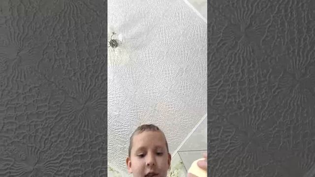 стрим смотреть онлайн