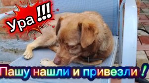 Ейск ! Ураааа ! Пашка нашёлся ! Низкий поклон до земли людя которые его привезли домой ! 09-06-2026