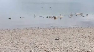 Открытие пляжного сезона, умный купальник, хиты этого лета!