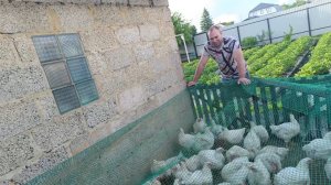ТУИ ПРОПАДАЮТ,ИЩЕМ ВИНОВНЫХ/ЛИВЕНЬ В ДЕРЕВНЕ/КУПИЛА ОБУВНИЦУ
