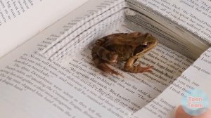 Как Пронести Еду в Больницу # Смешные Cитуации ч. 10