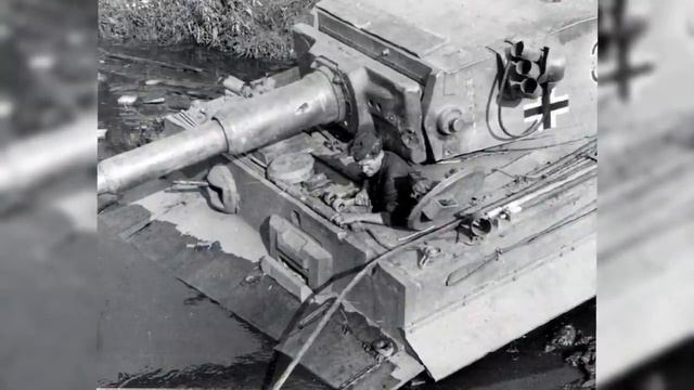 "Ratte"(крыса)--Сухопутный крейсер Гитлера, который так и не построили.