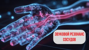 Секрет Чистых Сосудов: 5 минут в день для лёгкости и здоровья
