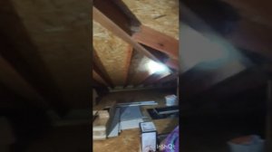 Канадский дом трещит по швам 👀