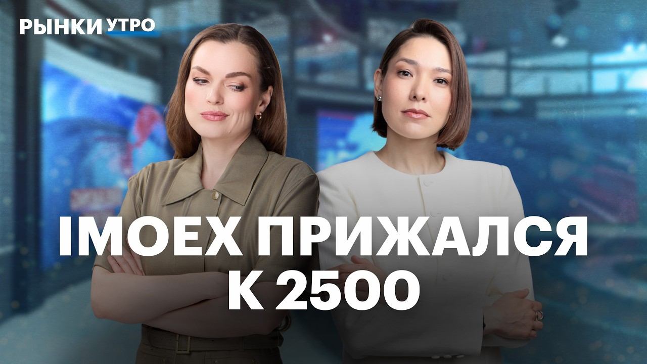 Почему акции IT-компаний падают? Новое IPO: Инкаб Холдинг. Мечел не выплатит дивиденды за 2025