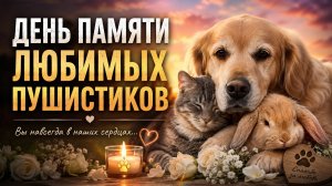 ДЕНЬ  ПАМЯТИ ЛЮБИМЫХ ПУШИСТИКОВ...