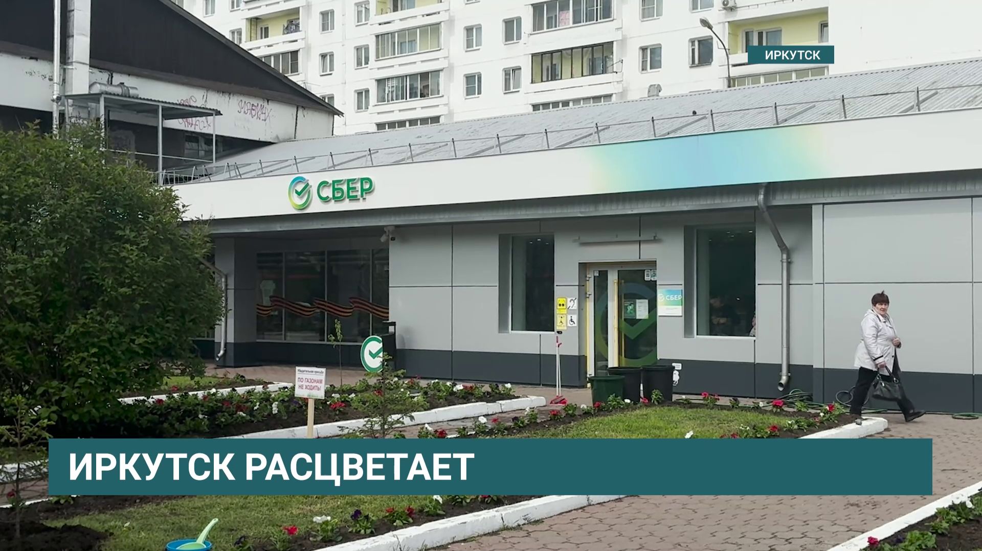 Иркутск расцветает: 650 саженцев петунии украсили аллею СБЕРа в Ленинском районе