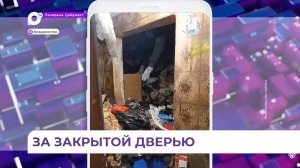 Тело пенсионерки и 15 кошек нашли под завалами мусора  в квартире во Владивостоке