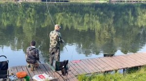 Утро на водоёме.Карпуша