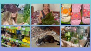09-06-2026 У МАМЫ В МАЙКОПЕ 🕌 ХРЕН ВЁДРАМИ ПРОДАЮТ 🌿😁