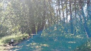 Русское поле 09-06-2026