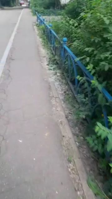 ahlelele ahleambush №12