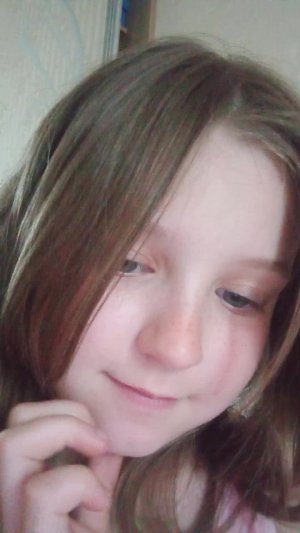 Кошачки мои