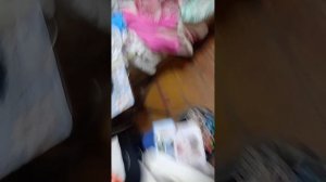 что взять собаке на один день дороги