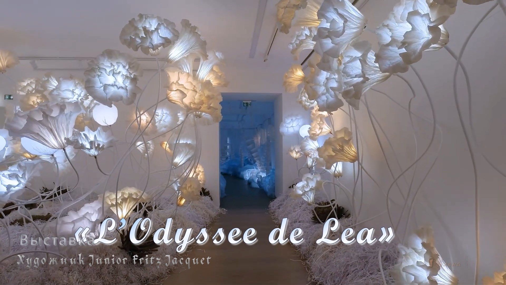 Выставка «L’Odyssee de Lea» * Художник Junior Fritz Jacquet смотреть онлайн