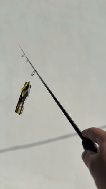 Abu Garcia Salty Stage Prototype Ajing XAJS-6102LSS