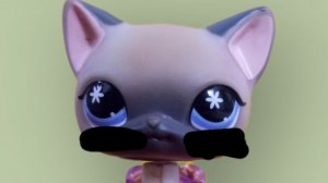 lps сериал « не грусти без меня» ( расстование)
