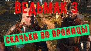 ВЕДЬМАК 3 СКАЧЬКИ ВО ВРОНИЦЕ