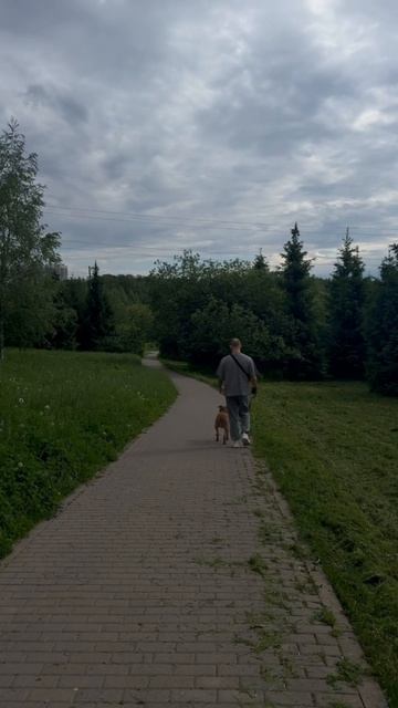 rutube.ru