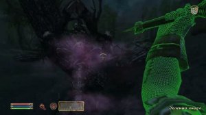 The Elder Scrolls IV: Oblivion - 177 часть Зиретард - Подземелье, Ножевая нора, Великое разделение